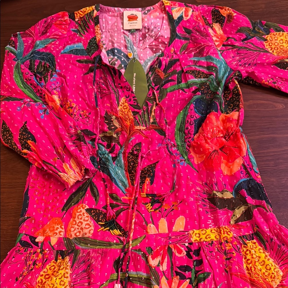 FARM Rio Pink and Green Floral Dress